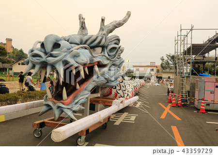 迫力ある巨大白龍が練り歩く菊池の夏祭 43359729