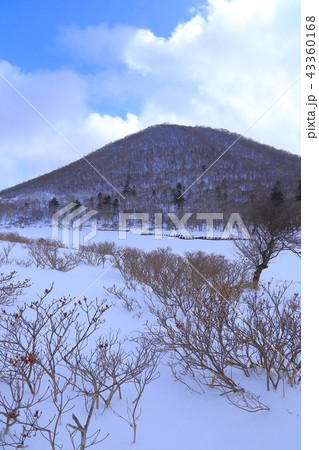 群馬県赤城公園の冬の覚満淵の入口付近から南側を見る 群馬県赤城公園の冬の覚満淵の入口付近から南側を見る 43360168