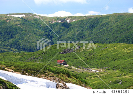 北アルプス雲ノ平　日本最後の秘境を歩く　祖父岳からの景色　雲ノ平山荘越しの太郎平 43361195