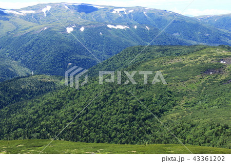 北アルプス雲ノ平　日本最後の秘境を歩く　祖父岳からの景色　北ノ俣岳 43361202