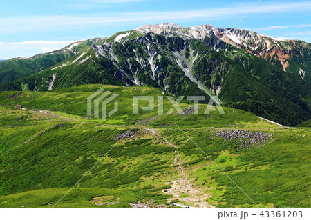 北アルプス雲ノ平 日本最後の秘境を歩く 祖父岳からの景色 薬師岳 北アルプス雲ノ平 日本最後の秘境を歩く 祖父岳からの景色 薬師岳 43361203