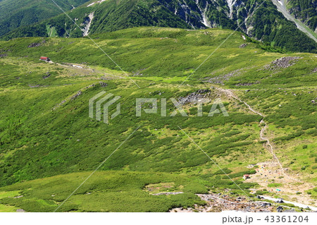 北アルプス雲ノ平　日本最後の秘境を歩く　祖父岳からの景色 43361204