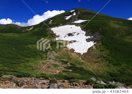 北アルプス雲ノ平　日本最後の秘境を歩く　雲ノ平キャンプ場と祖父岳 43362463