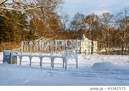 Alley in Catherine park at Tsarskoe Selo in winter Alley in Catherine park at Tsarskoe Selo in winter 43362575