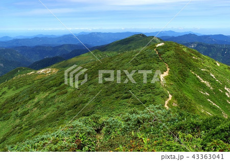 朝日連峰・戸立山 43363041