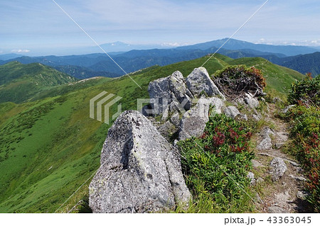 朝日連峰・オツボ峰コース 43363045
