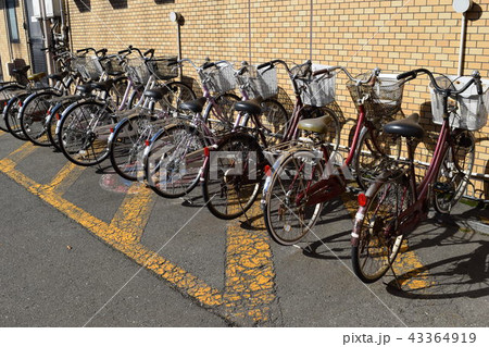 自転車置き場 自転車置き場 43364919