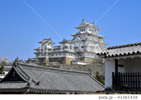 姫路城　西ノ丸から見た現存天守 43365439