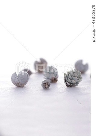 クリスマス小物 43365879