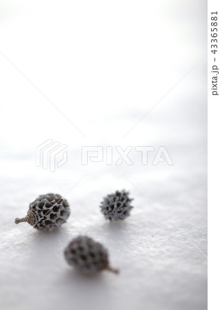 クリスマス小物 クリスマス小物 43365881