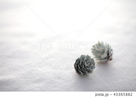 クリスマス小物 43365882