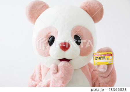 風邪薬を持つ着ぐるみ　パンダ　かわいい　白バック 43366023
