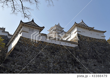 姫路城　現存天守と腹切丸 43366479