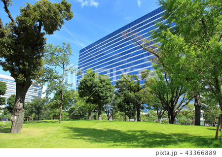 中野四季の森公園　中野区 43366889