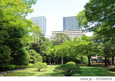 殿ヶ谷戸庭園 国分寺市 殿ヶ谷戸庭園 国分寺市 43366930
