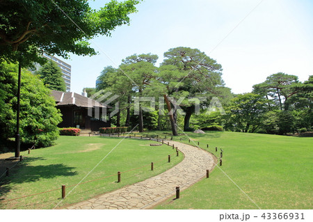 殿ヶ谷戸庭園 国分寺市 殿ヶ谷戸庭園 国分寺市 43366931