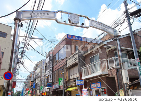 上井草駅　西武新宿線 43366950