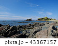 青森県西海岸の千畳敷 43367157