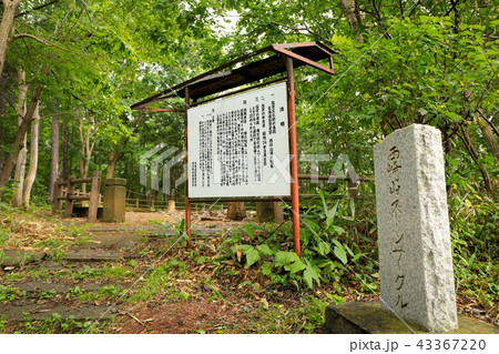 西崎山環状列石 西崎山環状列石 43367220
