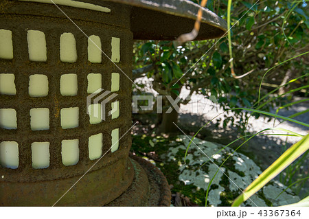 燈篭　日本庭園 43367364