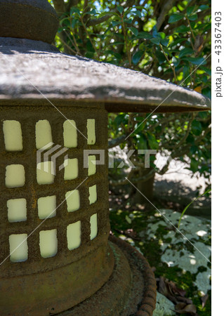 燈篭　日本庭園 43367403