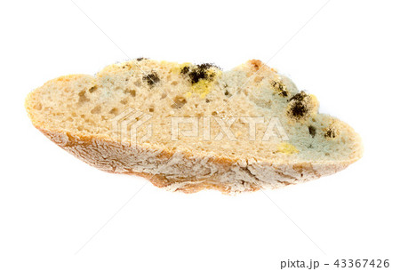 Moldy bread. 43367426