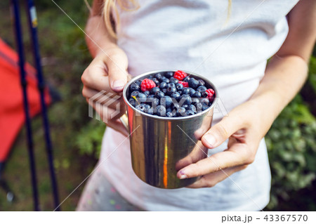 cup of raspberries and blueberries cup of raspberries and blueberries 43367570