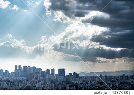 【東京・新宿】 雨上がり 43370802