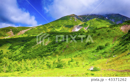 Summer view of volcano on Kamchatka 43371262