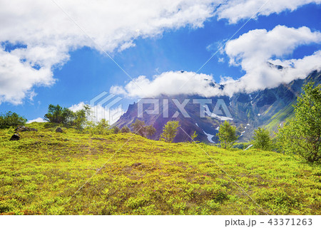 Summer view of volcano on Kamchatka 43371263