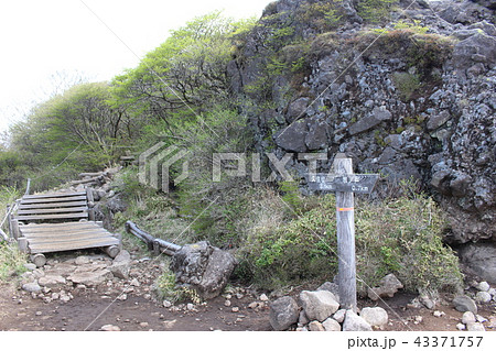 九州/久住登山路から望む風景 九州/久住登山路から望む風景 43371757