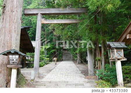 国宝 仁科神明宮 二ノ鳥居より境内 大町市 国宝 仁科神明宮 二ノ鳥居より境内 大町市 43373380