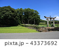 稲穂と土地神様 43373692