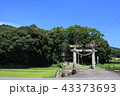稲穂と土地神様 43373693