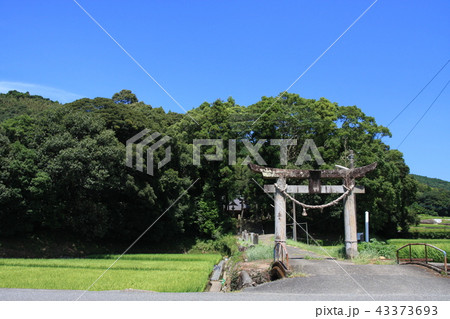 稲穂と土地神様 43373693