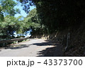 お城へ向かう道のお地蔵様 43373700