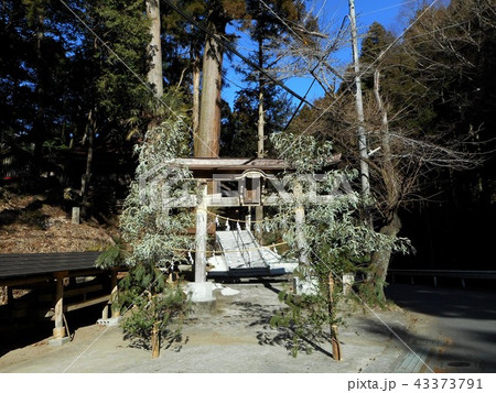 姥宮神社 姥宮神社 43373791