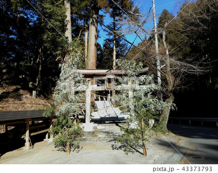 姥宮神社 姥宮神社 43373793