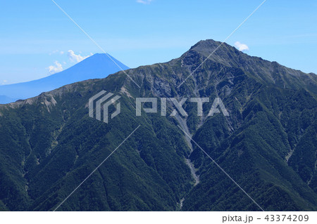仙丈ヶ岳から望む富士山と北岳　南アルプス 43374209