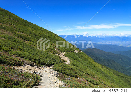アルプスの登山道　仙丈ヶ岳 43374211