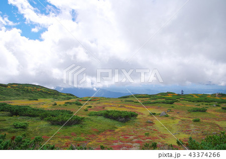 大雪山旭岳 43374266