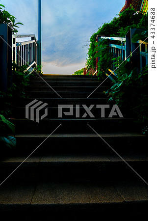 景色 風景 台湾 43374688