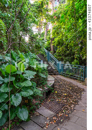 台北 台北市 タイペイ 43374807