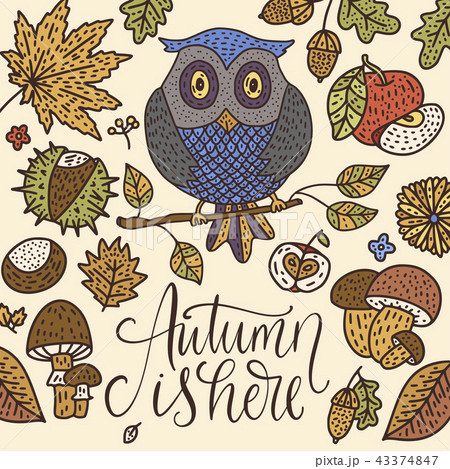 Cozy fall vector illustration. Autumn vector lettering card. 43374847