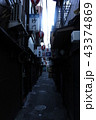 渋谷　路地裏　Shibuya Back Alley 43374869