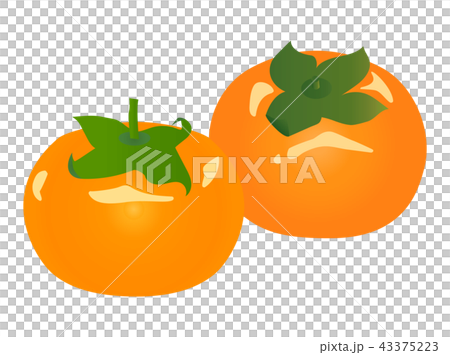 persimmon 43375223