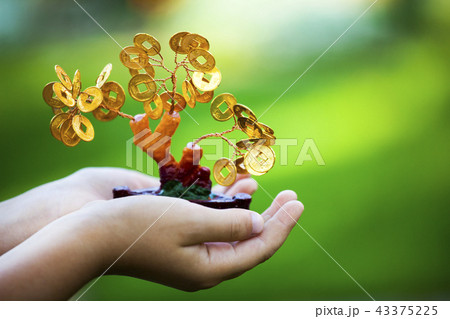 Money tree children hands 43375225