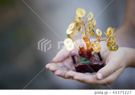 Money tree children hands 43375227