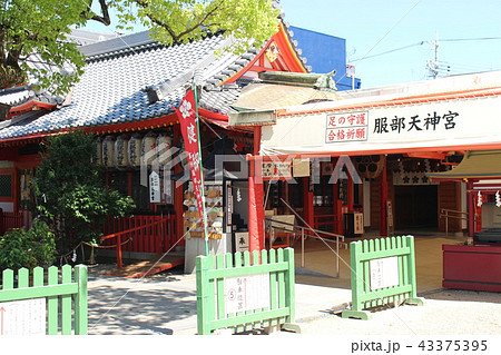 服部天神宮 43375395