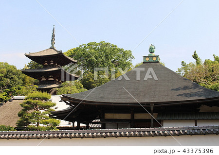當麻寺・中之坊 43375396